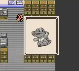 Alle 3 Starter in Pokémon Gold, Silber und Kristall