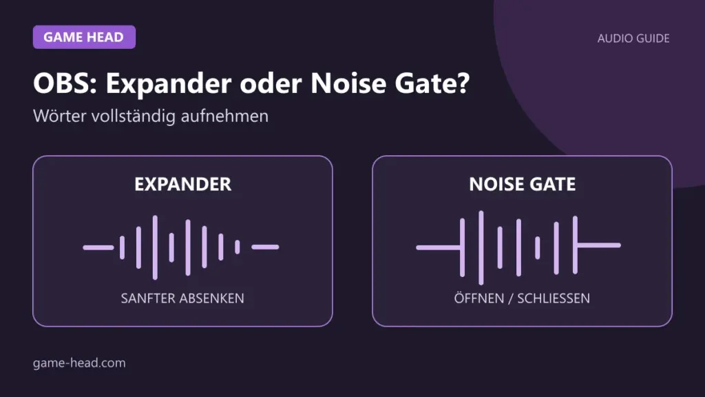 Game-Head-Grafik: sanftes Absenken beim Expander und Öffnen bzw. Schließen beim Noise Gate.